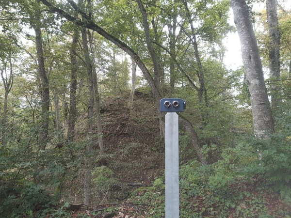 Wiedersehen auf der Randenburg